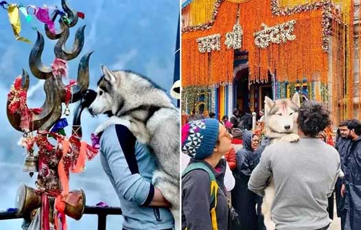 श्री केदारनाथ धाम में कुत्ते के साथ पूजा वाले प्रकरण में बीकेटीसी अध्यक्ष अजेंद्र को मिल रही है धमकी