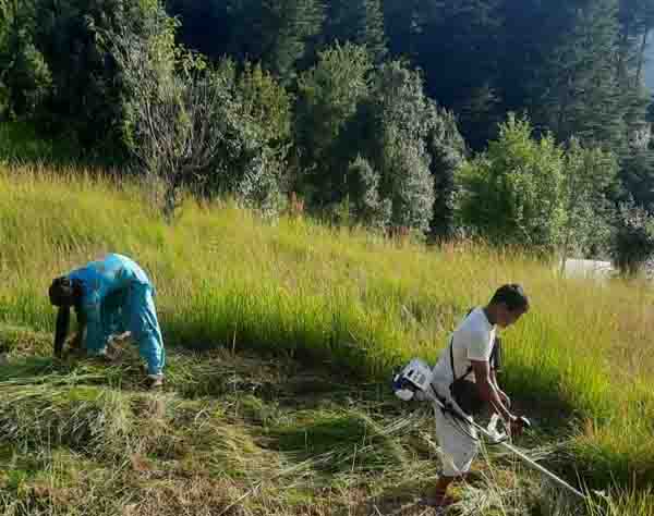 घास काटने की मशीन से महिलाओं के जीवन में आया नया सवेरा