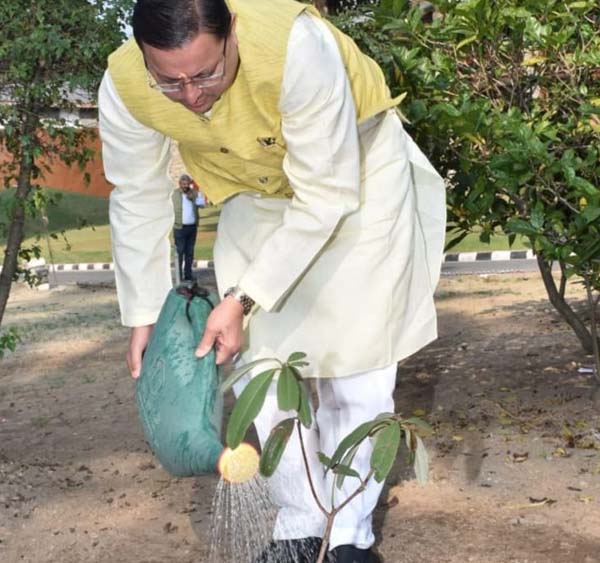 सीएम धामी ने मुख्यमंत्री आवास में राजकीय वृक्ष बुरांश किया रोपित