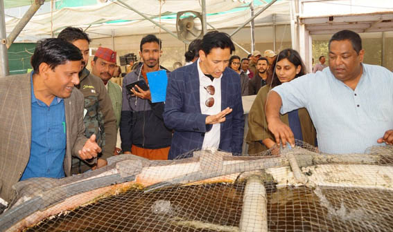 Commissioner Deepak Rawat inspected the first hydroponic polyhouse of Uttarakhand at Noda in Kotabagh area